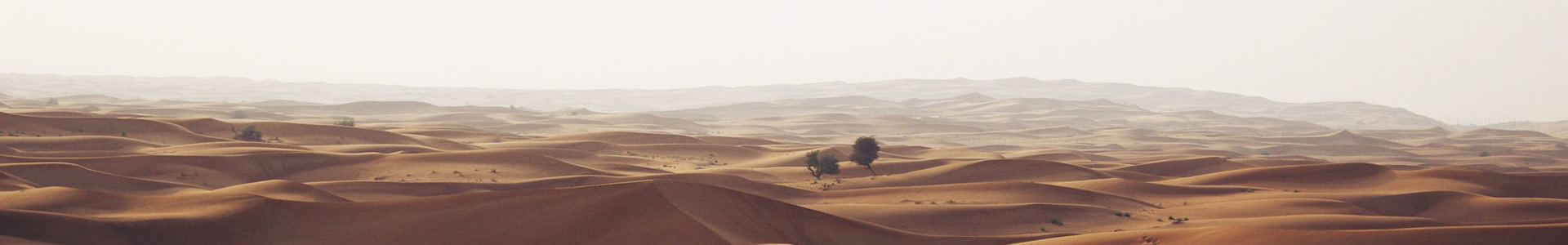 ֣ݵʳƷƼ޹˾